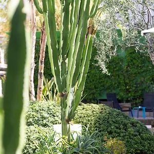 Mercure Centre Notre Dame Nice